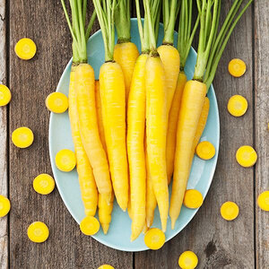 Carrot Yellowstone Vegetable Seed 250 Count Packet