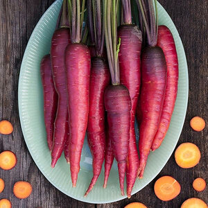 Carrot Dragon Vegetable Seed 1/32 oz. Packet