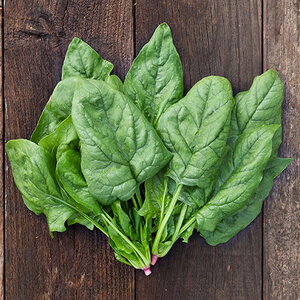 Spinach Giant Winter Vegetable Seed 1/4 oz. Packet