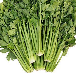 Celery Tango Vegetable Seed 50 Count Packet