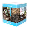 Kokedama Kit Succulent Cube 6 in.