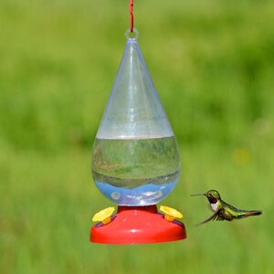 Perky Pet Hummingbird Feeder Dew Drop Plastic 32 oz. 4.6 in. x 10.7 in.