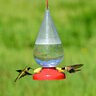 Perky Pet Hummingbird Feeder Dew Drop Plastic 32 oz. 4.6 in. x 10.7 in.