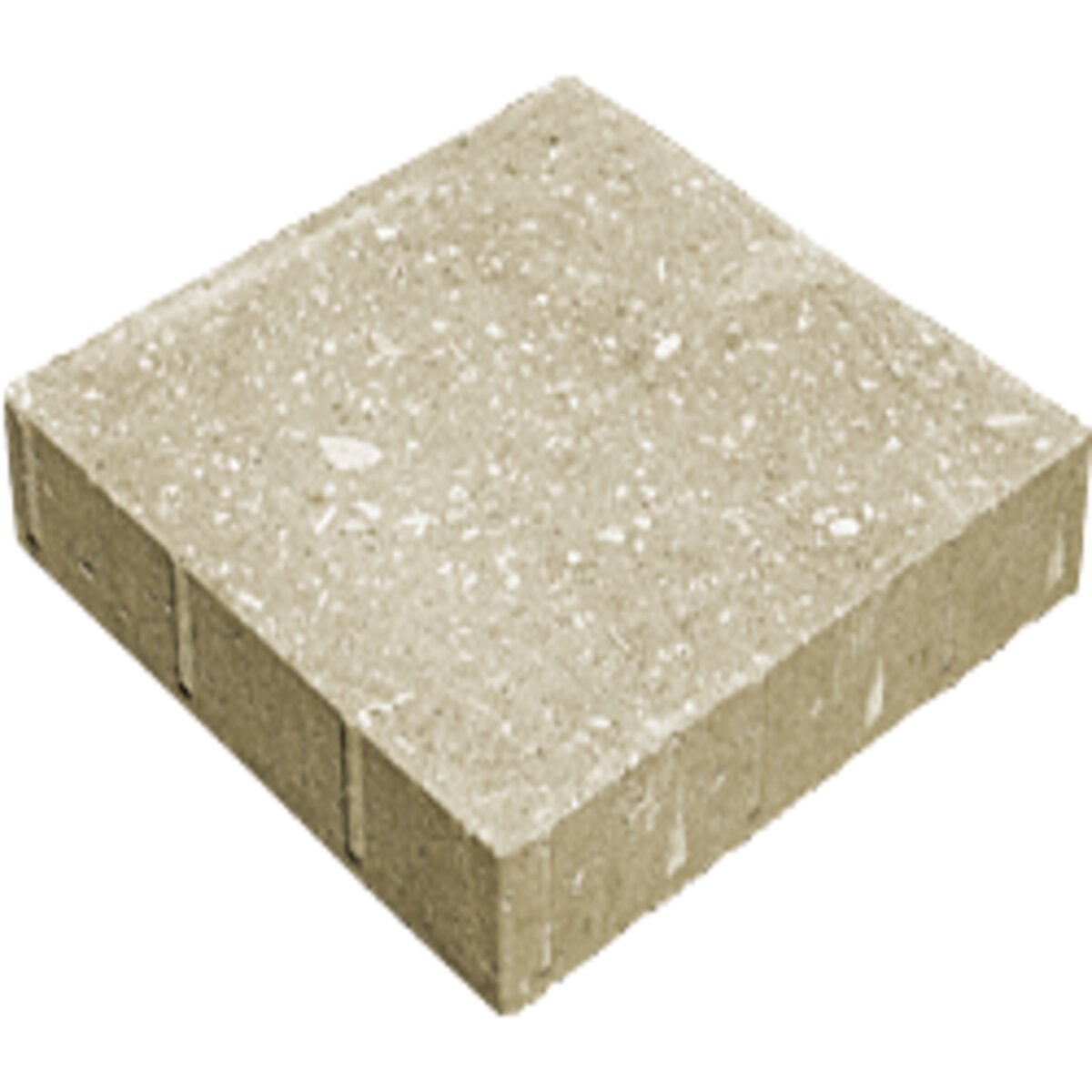 Tremron Shellstone Paver Gray 16 in. x 16 in. x 60 mm (107 sq. ft ...