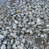Bulk Alpine White Cobble 4 - 8 in.