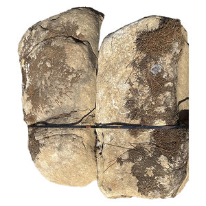 Tennessee Weathered River Boulders