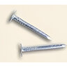 South Atlantic Common Nails 8D Hot-Dip Galvanized 50 lb.