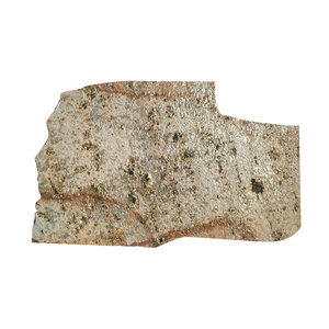 Flagstone Gold Platinum Quartzite Stand Up 7/8 - 1 in.