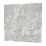 MSI Arterra Porcelain Paver Matte Trevi Silver 24 in. x 24 in. x 2 cm. (8 sq. ft./box)