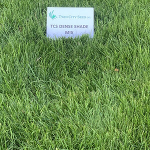Twin City Dense Shade Seed Mixture 25 lb. Bag