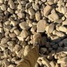 Palletized River Rock Erna 3 in. x 6 in.