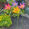 Marshall Lily Assorted Garden Stake
