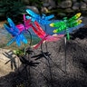 Marshall Luminous Dragonfly Garden Stake