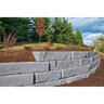 Lee BP Rosetta Grand Ledge Wall Limestone (18 sq. ft./pallet)