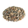 Bagged Mexican Beach Pebbles Buff Button 75 lb. Bag