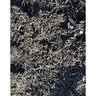 Dyed Brown Mulch Bulk (Sold per cu. yd.)