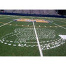 STRIPE-X Turf Green Removable Paint for Synthetic Fields 5 gal.
