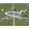 STRIPE-X Turf Green Removable Paint for Synthetic Fields 5 gal.