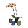 Orchid Pot w/ Attached Saucer Butterfly Assorted Colors 5 in. x 5 in.