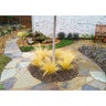 Flagstone Oklahoma Brown Stand Up Prime Select 2 in.