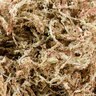 Mossify Premium Long Fiber Sphagnum Moss 150 g. 732 cu. in. Bag
