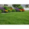 Fertilizer 19-19-19 25% CRM MSM 0.1Fe 0.01Mn SGN 200 50 lb.