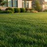 Agrium 21-0-0 Turfgrass Soluble Granular Fertilizer 50 lb. Bag