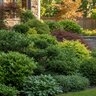 Green Diamond Landscape PRO 20-10-5 + Micros SOP Ornamental Fertilizer 11 lb. (500 Count) Box