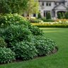 Osmocote 21-4-8 Nursery and Ornamental Granular Fertilizer 50 lb. Bag
