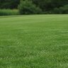 Country Club IV Fertilizer 0-0-25E KMAG SOP 2Mg 2Mn Elite 40 lb. (QGCY)
