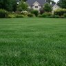 Scotts Lawn Pro Step 1 Crabgrass/Lawn Fertilizer 5M