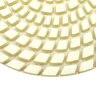 Diamond Pad 200 Grit 5 in.