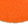 Diamond Pad 200 Grit 5 in.
