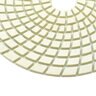Diamond Pad 400 Grit 5 in.