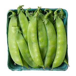 Pea Blizzard Snow Vegetable Seed 1 oz. Packet