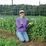 Pea Blizzard Snow Vegetable Seed 1 oz. Packet