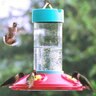 Original Dr JBs Clean Feeder 16 oz. 8 in. x 20 in.