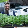 Brussel Sprouts Nautic F1 Vegetable Seed 10 Count Packet