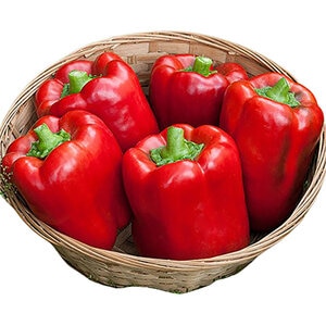 Pepper California Wonder Vegetable Seed 1/64 oz. Packet