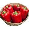 Pepper California Wonder Vegetable Seed 1/64 oz. Packet