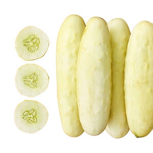 Cucumber Silver Slicer Vegetable Seed 1/16 oz. Packet