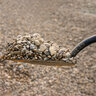 Bulk Commercial #8 Stone Washed