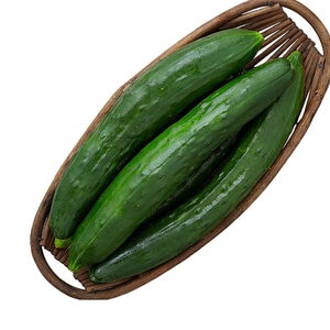 Cucumber Shintokiwa Vegetable Seed 10 Count Packet