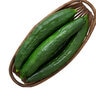 Cucumber Shintokiwa Vegetable Seed 10 Count Packet