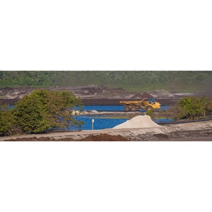 Florida Peat Bulk (per cu. yd.)