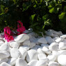 Palletized Santorini White Pebbles 3 - 5 in.