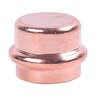 Ironworks PipeLock Copper 3/4in Pro Press Cap