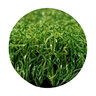 Shaw Grass Tips Champion Synthetic Turf 38 oz. Face Weight .85 in. Blade Height Field Green/Olive Blades