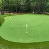 Shaw Grass Tips Champion Synthetic Turf 38 oz. Face Weight .85 in. Blade Height Field Green/Olive Blades