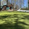TMG CALIFC75 Synthetic Turf High Traffic Landscape 75 oz. Face Weight 1.5 in. Natural Blend Blades Green/Tan Thatching